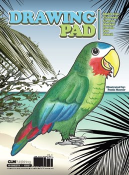 Drawing Pad