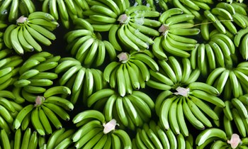 green bananas per box