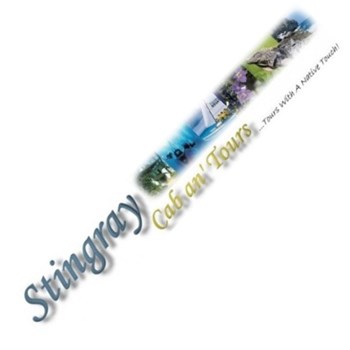 Stingray Cabm15gan Tours - Tour bus m2g taxi