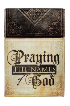 101 BLESSINGS m15gPRAYING THE NAMES OF GODm15g CARDS