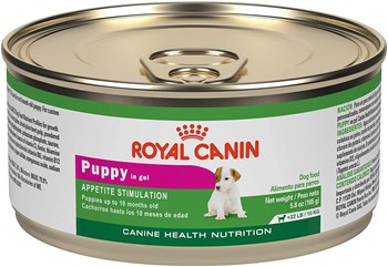 Royal Canin Canine Health Nutrition Puppy In Gel Canned Dog Foodm35g 5m6g8 ounce Can