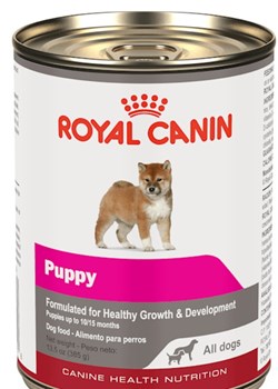 Royal Canin Canine Health Nutrition Puppy In Gel Wet Dog Foodm35g 13m6g5 ozm6g