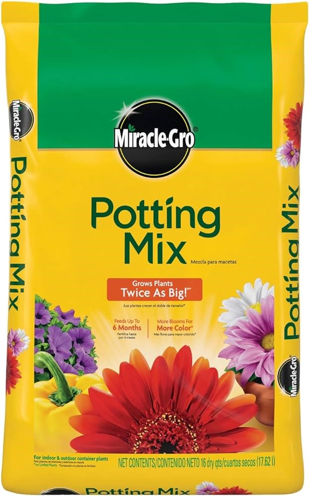 Standard