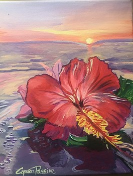 Hibiscus Sunset